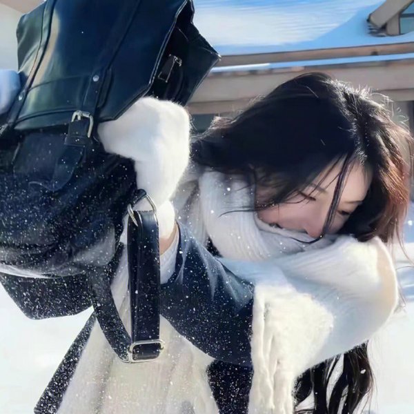 动物界